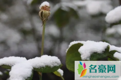 成都2022年春节会下雪吗 成都春节期间天气怎么样