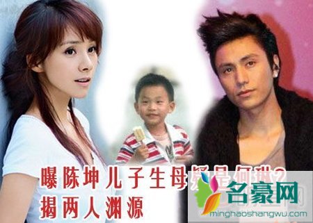 何琳和陈坤结婚了吗 何琳陈坤的结婚照片