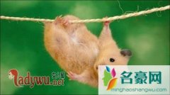 男女感情最忌讳的是什么，恋爱中女人需要注意的事