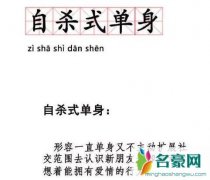 自杀式单身是什么意思，喜欢宅在家又渴望谈恋爱