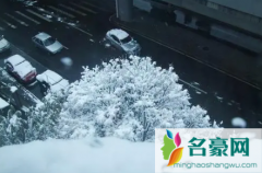 2022年南京过年下雪吗 春节期间去南京玩合适吗