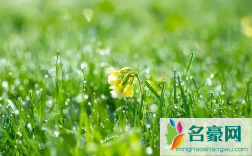 2022春分过后天气多久变暖1