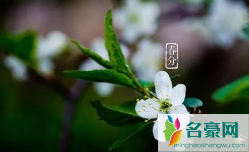 2022春分过后天气多久变暖3