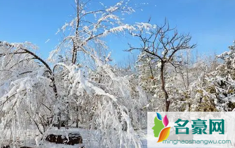 南京2022年元旦会下雪吗2