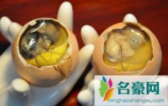 活珠子里面的毛吃不吃 活珠子子食用注意事项