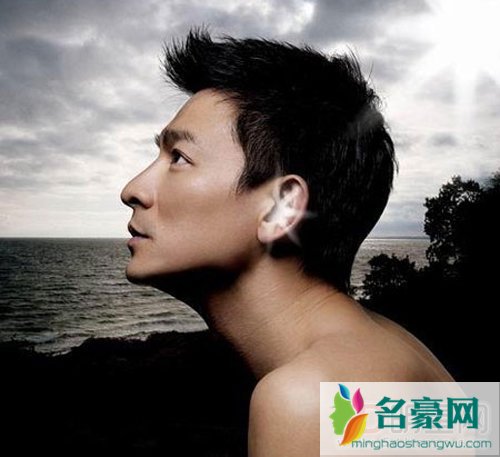 刘德华与林熙蕾张曼玉林熙蕾吻戏床戏 刘德华和李嘉欣黎姿吻戏