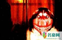 微笑狗事件是真的吗，为什么吓人，一共害死了多少