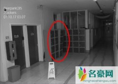 爱尔兰科克市迪尔帕克CBS中学遭遇灵异事件 被迫暂