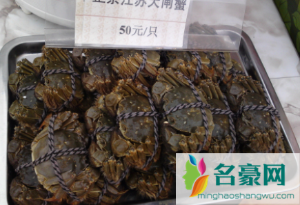 大闸蟹3.0两有多大3