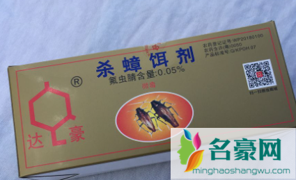 蟑螂吃了饵剂会乱爬吗2