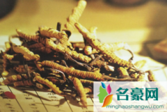 真冬虫夏草和假的有什么区别 冬虫夏草食用的五个