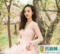 中国内地女演员李纯年龄资料及内衣写真 李纯有男