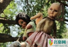 神秘诡异娃娃岛的娃娃是真的吗，这些娃娃哪来的