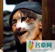 哈尔滨猫脸老太太灵异事件真相，揭猫脸老太太怎么