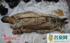盗墓贼垂涎墓主美色起歹心奸污女尸后离奇死亡