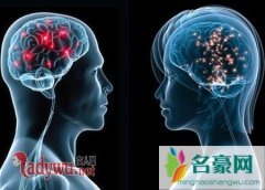 人类大脑的秘密有哪些，人为什么要睡觉