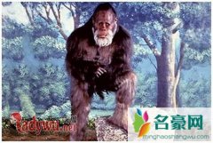 世界上的神秘生物是什么，揭秘十种神秘奇异的生物