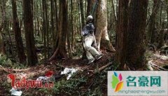 日本真的有死亡森林吗，揭日本自殺森林之谜