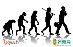 人类根本不是进化来的，达尔文进化论真的存在漏洞