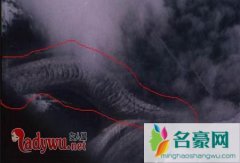 卫星拍到的真龙凤凰被证实，并无龙凤生物只是一场
