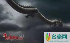 为什么国家要隐瞒龙，难道世界上真的有龙的存在