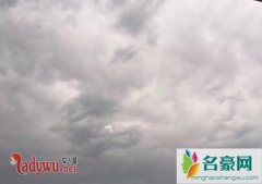 北京出现两条真龙是真事吗，难道世界有龙被证实了