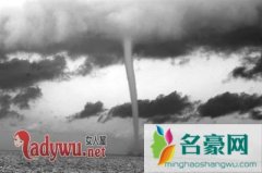 2016暴雨后出现龙吃人消息，真龙现身被网友质疑真