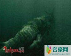 中国发现一条水下真龙真相，青海湖真龙现身可惜是