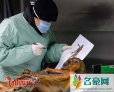 古代不老女婴真的吗，古代制作不老女婴手段极其残