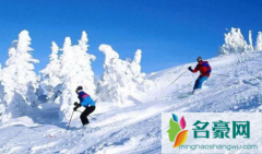 亚布力滑雪场是中国最大的吗 亚布力滑雪场怎么去