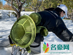 滑雪护具好用还是小乌龟好用 滑雪小乌龟是什么