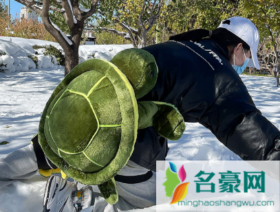 滑雪护具好用还是小乌龟好用1