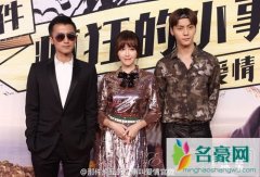 那件疯狂的小事叫爱情发布会 陈伟霆郑秀妍当众秀
