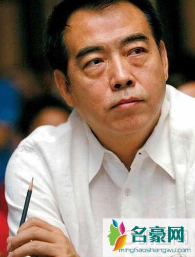 陈凯歌强势加盟《出彩中国人》　综艺节目评委首秀显学识