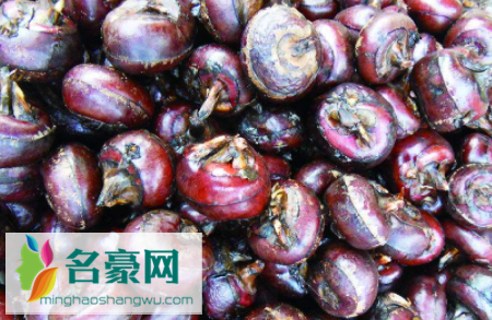 马蹄怎么去皮方便3