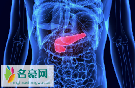 胰腺不好的6大征兆3