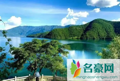 2022年春节能去云南吗3