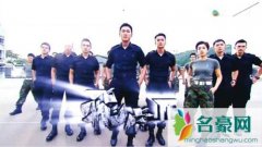 港剧飞虎2演员表分集剧情介绍大结局