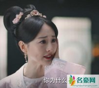 锦绣南歌沈乐清扮演者是谁 原来她也是如懿传的璟