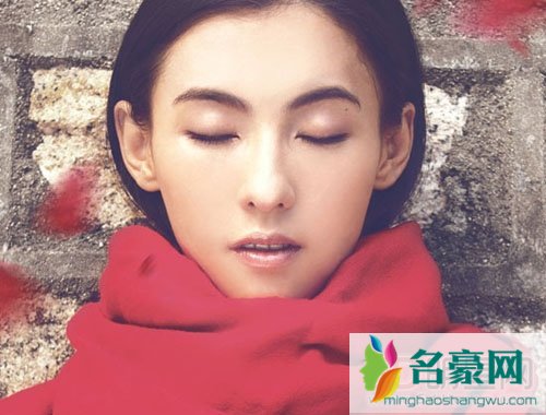 谢霆锋二儿子Quintus迎来五岁生日　张柏芝被爆携两子访港