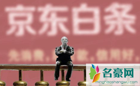 不小心用白条买东西了要还吗1