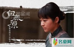 白鹿原为什么停播 白鹿原停播是怎么回事