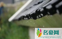 2022年雨水节气是哪一天 十四节气雨水什么意思