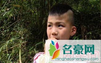 揭秘20150731爸爸去哪儿第三季 康康以及其他孩子们为什么在丛林大哭