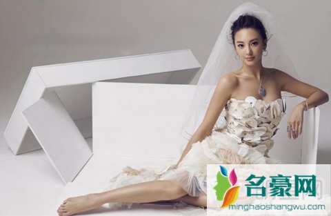 张雨绮老公被抓内幕 张雨绮王全安吵架/离婚