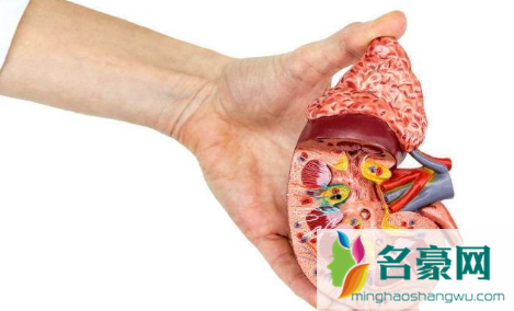 减肥引起的尿酸高会自愈吗1