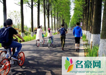 2022年春节期间可以去武汉周边省市有玩吗2