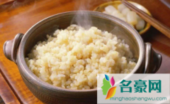 糙米用电饭锅能蒸熟吗 吃糙米饭真的可以减肥吗