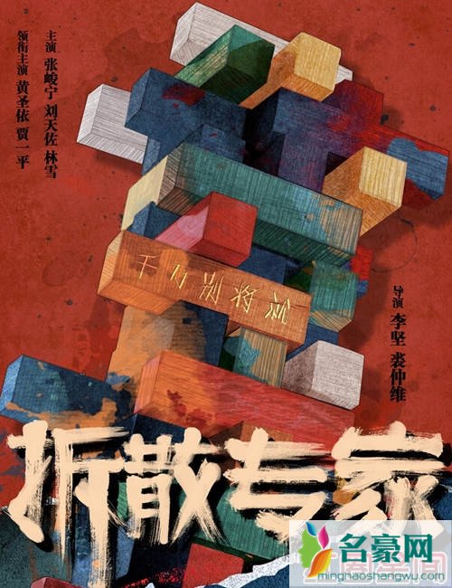 拆散专家海报