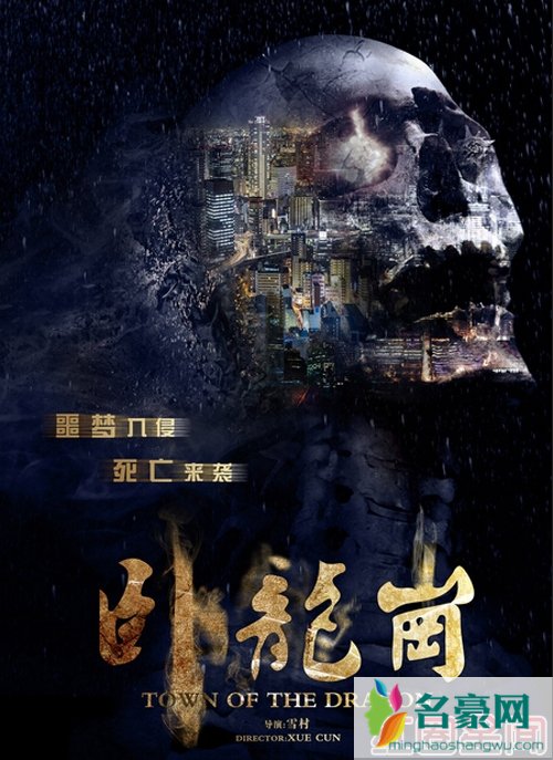 卧龙岗海报